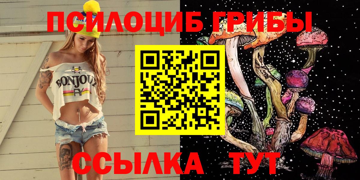 Галлюциногенные грибы Psilocybe  Псилоцибиновые грибы Cubensis  Свободный  Вход с VPN 